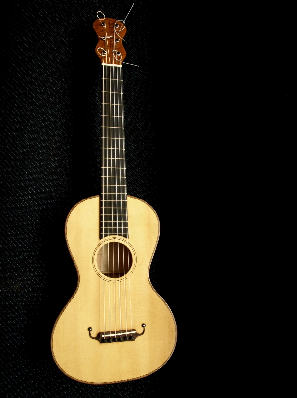 19e eeuwse gitaar 